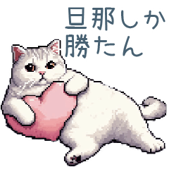 [LINEスタンプ] 旦那を褒める嫁白猫【夫婦・ねこ】