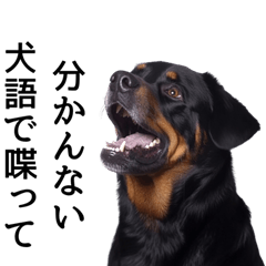 [LINEスタンプ] かわいい犬のリアルな毒舌・煽り