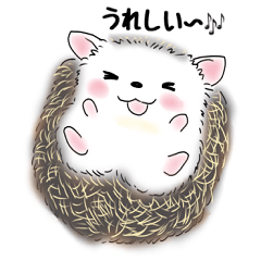 [LINEスタンプ] ハリネズミさんの毎日使えるスタンプ