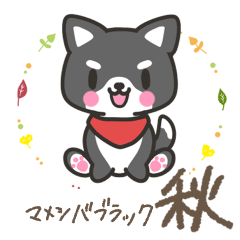 [LINEスタンプ] マメシバブラック☆秋の日常