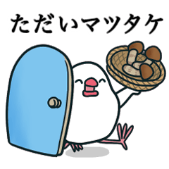 [LINEスタンプ] もち文鳥★秋のダジャレ