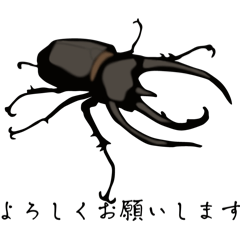 [LINEスタンプ] コーカサスオオカブトスタンプ（ジャワ）