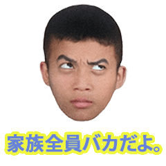 [LINEスタンプ] 家族全員バカだよ。