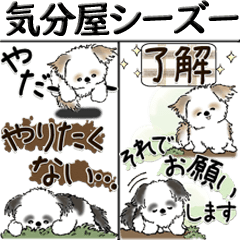 [LINEスタンプ] 【Big】新・シーズー犬 『時々気分屋さん』