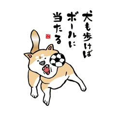 [LINEスタンプ] かわいい動物スタンプ（ダジャレあり）