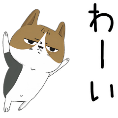 [LINEスタンプ] ずっと使える相づち・共感 にゃごにゃご 2