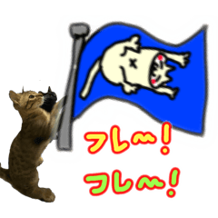 [LINEスタンプ] お酒とネコ好きな日常会話 14