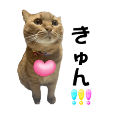 [LINEスタンプ] みりんぷ2（みーこfam仲間入り）