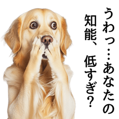 [LINEスタンプ] かわいい犬のリアルな毒舌・煽り2の画像（メイン）