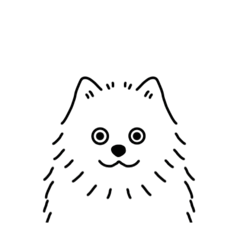 [LINEスタンプ] 真顔な犬（ポメラニアン）