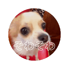 [LINEスタンプ] 躍動感溢れる！えーいちTHEMoveスタンプ