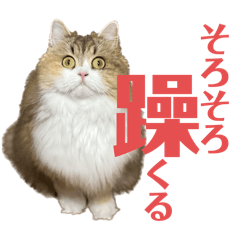 [LINEスタンプ] CafeCatちゃん-躁鬱