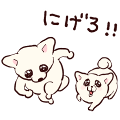 [LINEスタンプ] ゆけ！チワワ