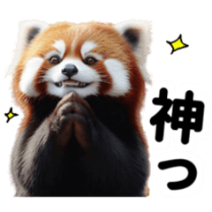 [LINEスタンプ] リアルレッサーパンダミーム