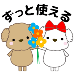 [LINEスタンプ] 大きな文字で見やすい 優しいトイプードル