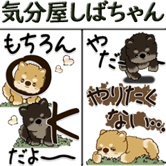 [LINEスタンプ] 【Big】柴犬・茶色い犬 『時々気分屋さん』