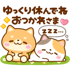 [LINEスタンプ] 仲良しニャンコとワンコ♡毎日役立つの画像（メイン）