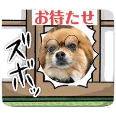 [LINEスタンプ] おむすびとして