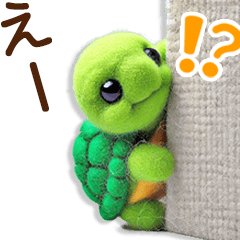 [LINEスタンプ] ず〜っと一緒♡羊毛ミドリガメの日常連絡