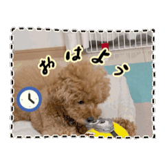 [LINEスタンプ] ペニ子☆スタンプ1002