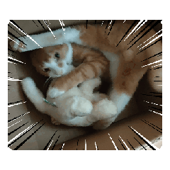 [LINEスタンプ] 僕は猫のたいやき