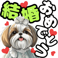 [LINEスタンプ] お祝いに使える可愛いシーズー