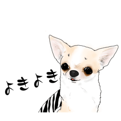 [LINEスタンプ] サニーと仲間達①