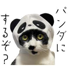 [LINEスタンプ] あずきときなこ②