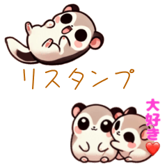 [LINEスタンプ] 小さいリスちゃん