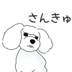 [LINEスタンプ] ツンデレプードルのちょっぴり毒舌スタンプ