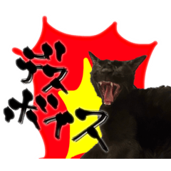 [LINEスタンプ] お酒とネコ好きな日常会話 15バカタレver.2
