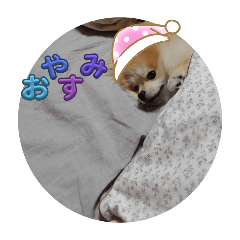 [LINEスタンプ] ポン太の日常生活第1段