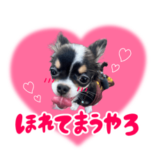 [LINEスタンプ] こてつ 関西version