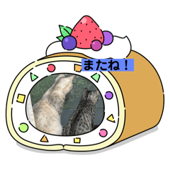 [LINEスタンプ] 愛猫モナとアラシ君