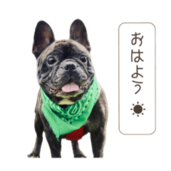 [LINEスタンプ] ぽとぺの日常