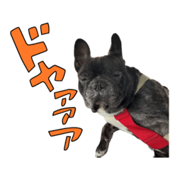 [LINEスタンプ] ぽとぺのオノマトペ