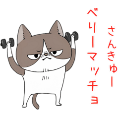 [LINEスタンプ] にゃごにゃご 3 ジム女子