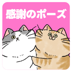 [LINEスタンプ] 銀ちゃんと天ちゃん