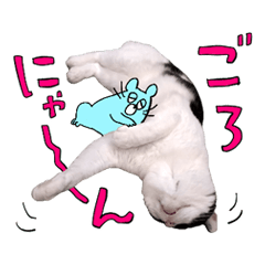 [LINEスタンプ] ねこ浴場＆ねこ旅籠 保護猫スタンプ