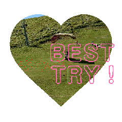 [LINEスタンプ] BEST TRY ！ STAMP