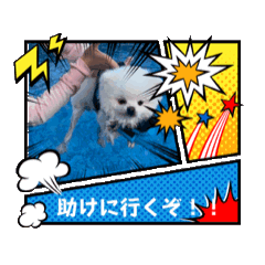 [LINEスタンプ] わんわーんワンっ！（魅せるぜ人生！）