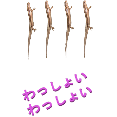 [LINEスタンプ] 江戸っ子なトカゲ2-3ーBIG