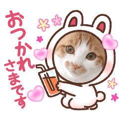 [LINEスタンプ] まいにちみーさん