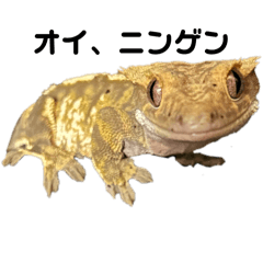 [LINEスタンプ] 生意気なクレス