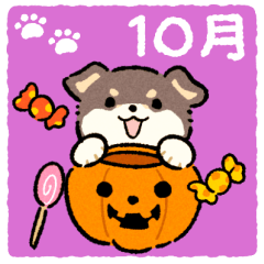 [LINEスタンプ] 10月のおまるちゃん