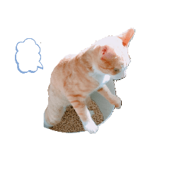 [LINEスタンプ] 僕は猫のたいやき①