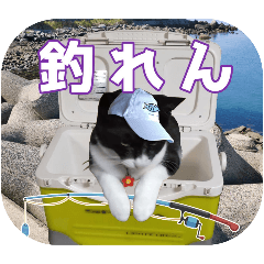 [LINEスタンプ] 大漁！釣り猫エレが釣り竿肩に磯ブラボー！！