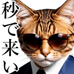 [LINEスタンプ] サングラスした猫【煽り】の画像（メイン）