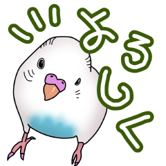 [LINEスタンプ] セキセイインコの白ハルクインスタンプ