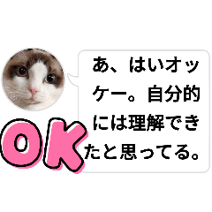 [LINEスタンプ] おしゃべりしろぴゅん